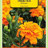 OBZ Tagetes Afrikaan Zaden Petite Orange