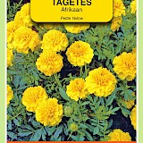 OBZ Tagetes Afrikaan Zaden Petite Yellow