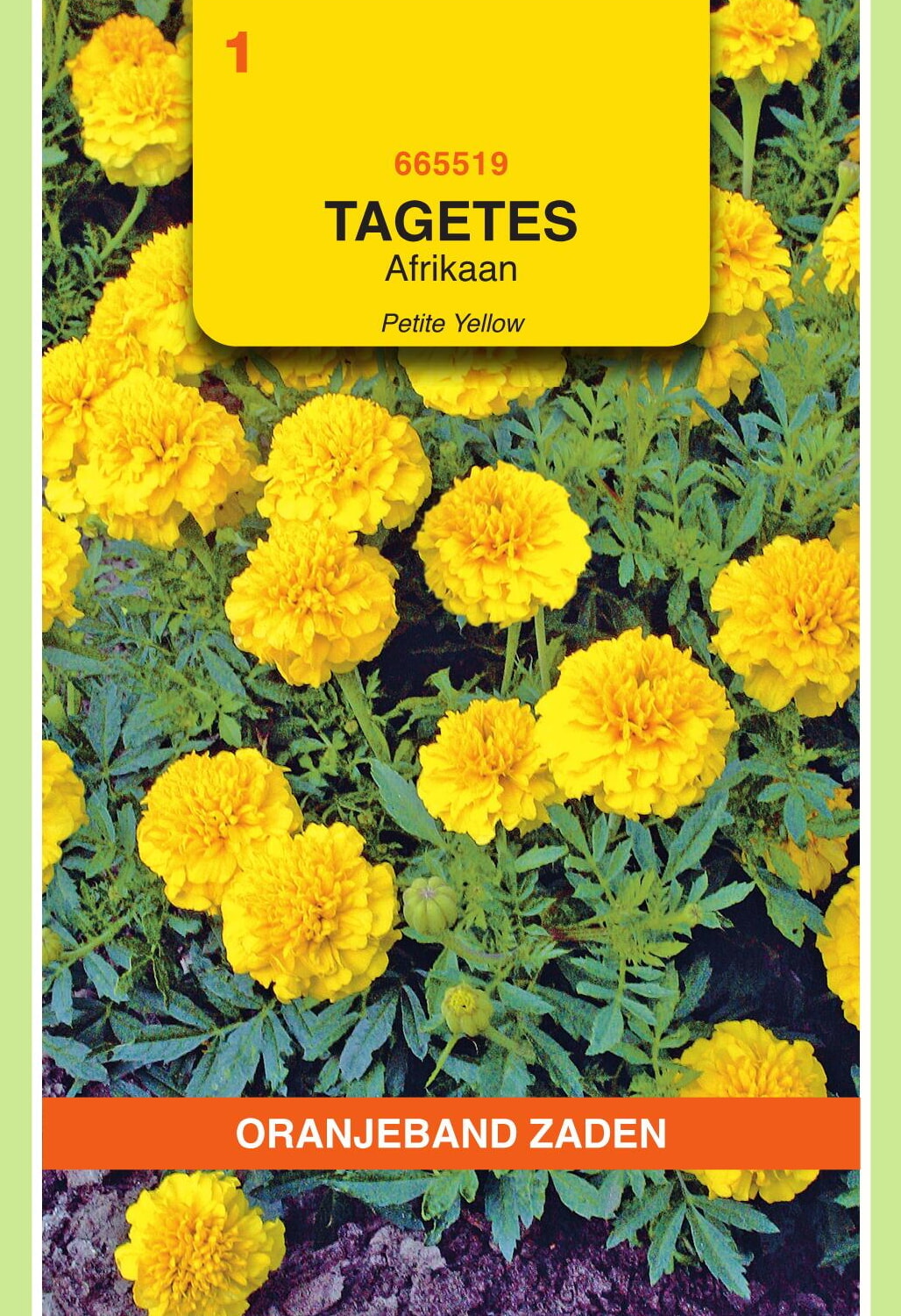 OBZ Tagetes Afrikaan Zaden Petite Yellow