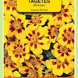 OBZ Tagetes Afrikaan Zaden Naughty Marietta