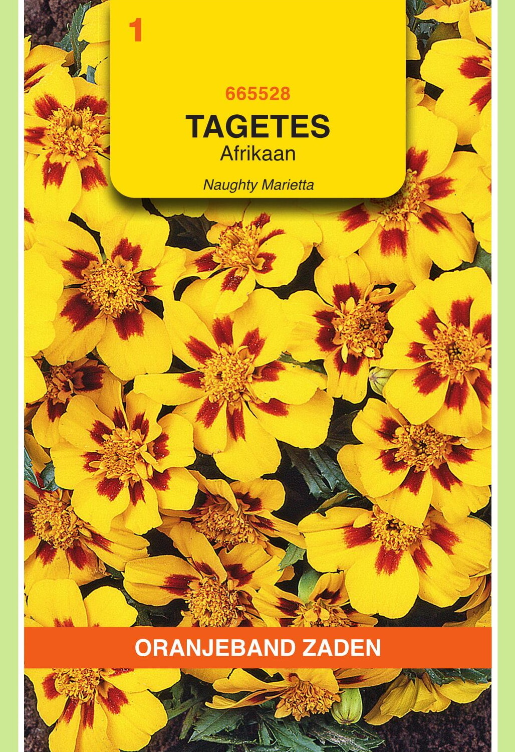 OBZ Tagetes Afrikaan Zaden Naughty Marietta