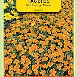 OBZ Tagetes Afrikaan Zaden Pumila Kleinbloemig Oranje