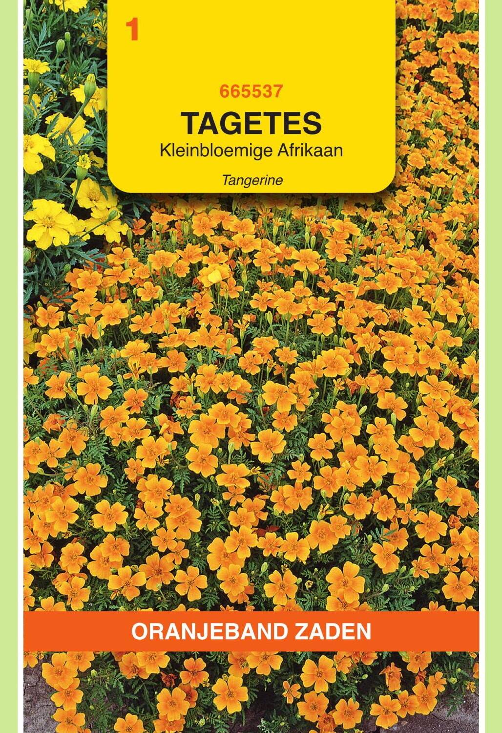 OBZ Tagetes Afrikaan Zaden Pumila Kleinbloemig Oranje