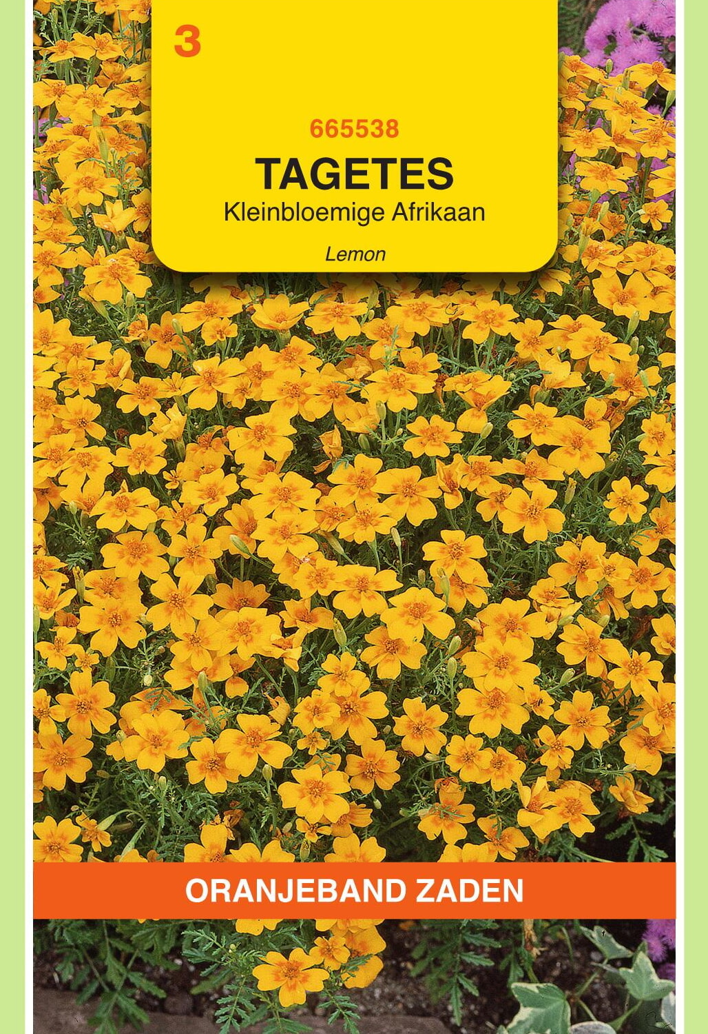 OBZ Tagetes Afrikaan Zaden Lemon Kleinbloemig Geel