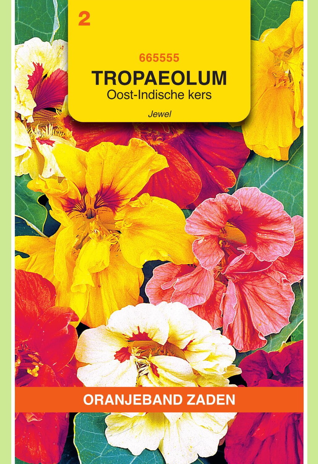 OBZ Oost-Indische Kers Zaden Jewel Dubbelbl. Gemengd