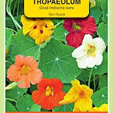 OBZ Oost-Indische Kers Zaden Tom Thumb Enkelbl. Gemengd