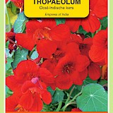 OBZ Oost-Indische Kers Zaden Empress Of India Rood