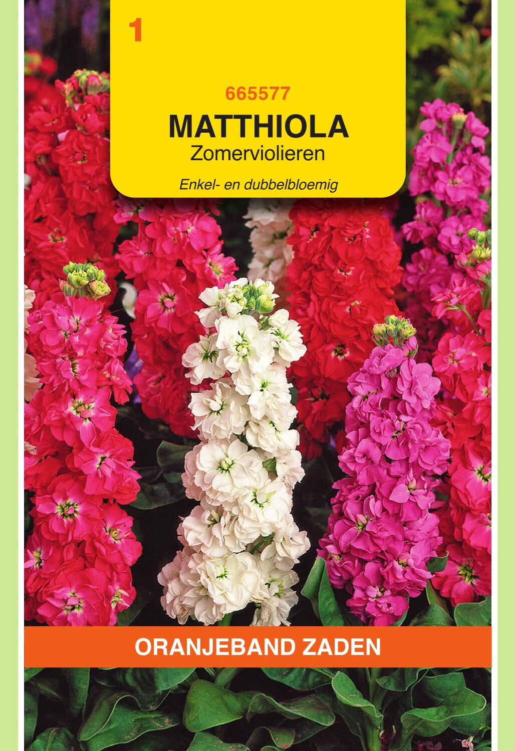 OBZ Zomerviolieren Zaden Enkel- en Dubbelbloemig
