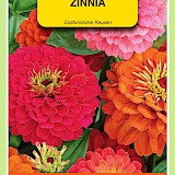 OBZ Zinnia Zaden Californische Reuzen Gemengd