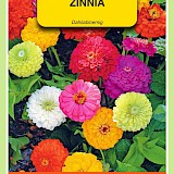 OBZ Zinnia Zaden Dahliabloemig Gemengd