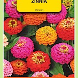 OBZ Zinnia Zaden Pompon Gemengd