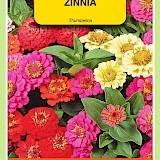 OBZ Zinnia Zaden Thumbelina Gemengd