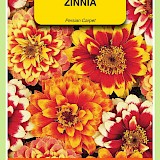 OBZ Zinnia Zaden Persian Carpet Gemengd