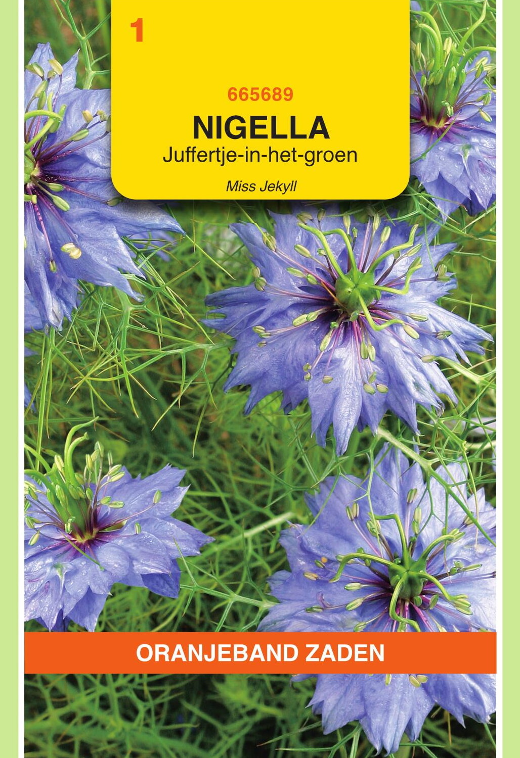 OBZ Juffertje-In-Het-Groen Zaden Miss Jekyll