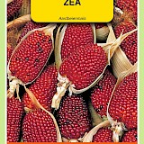 OBZ Aardbeienmais Zaden Zea