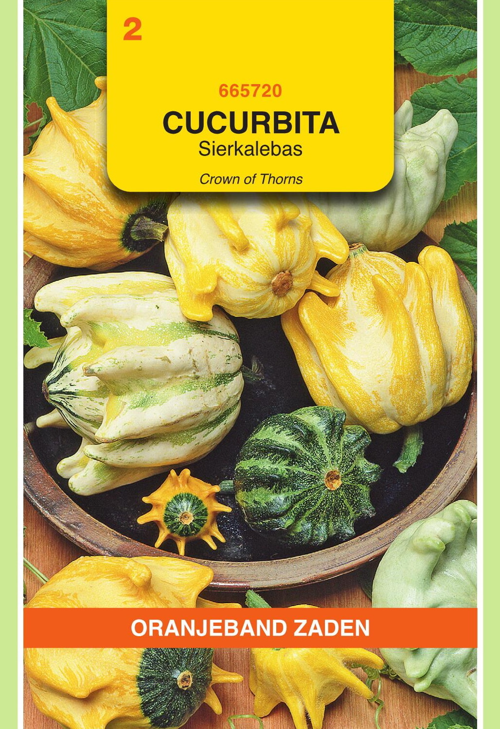 OBZ Sierkalebas Zaden Crowns Of Thorns Gemengd
