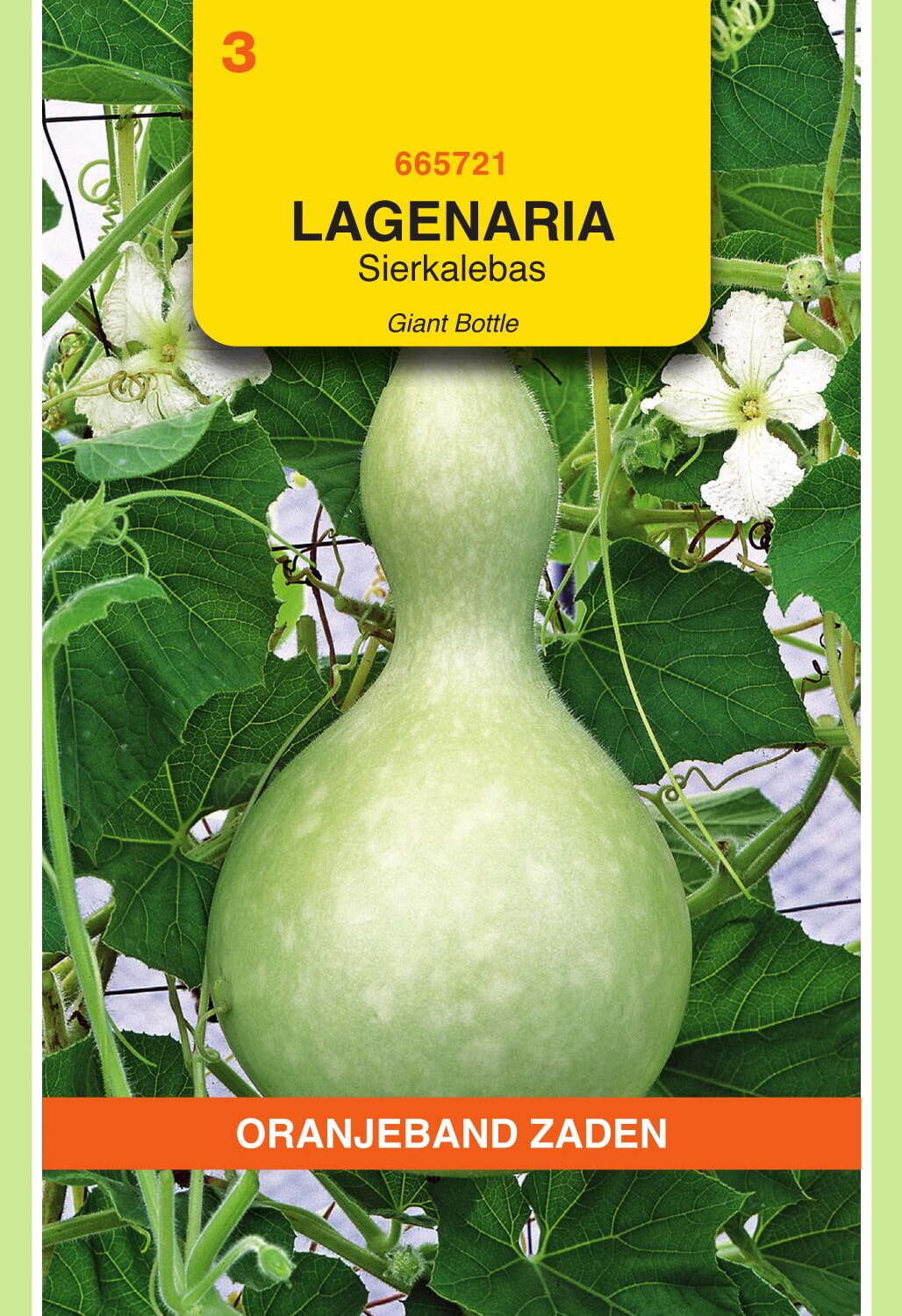 OBZ Sierkalebas Zaden Giant Bottle