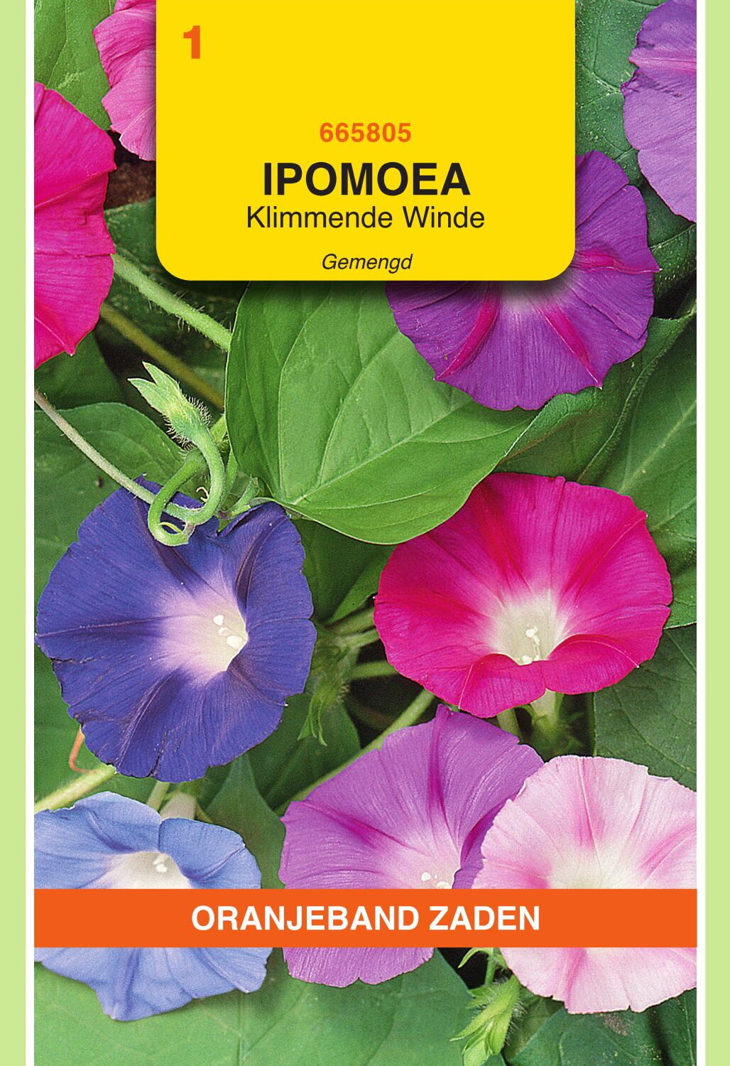 OBZ Klimmende Winde Zaden Gemengd