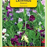 OBZ Lathyrus Reuk- Of Siererwt Zaden Royal Gemengd