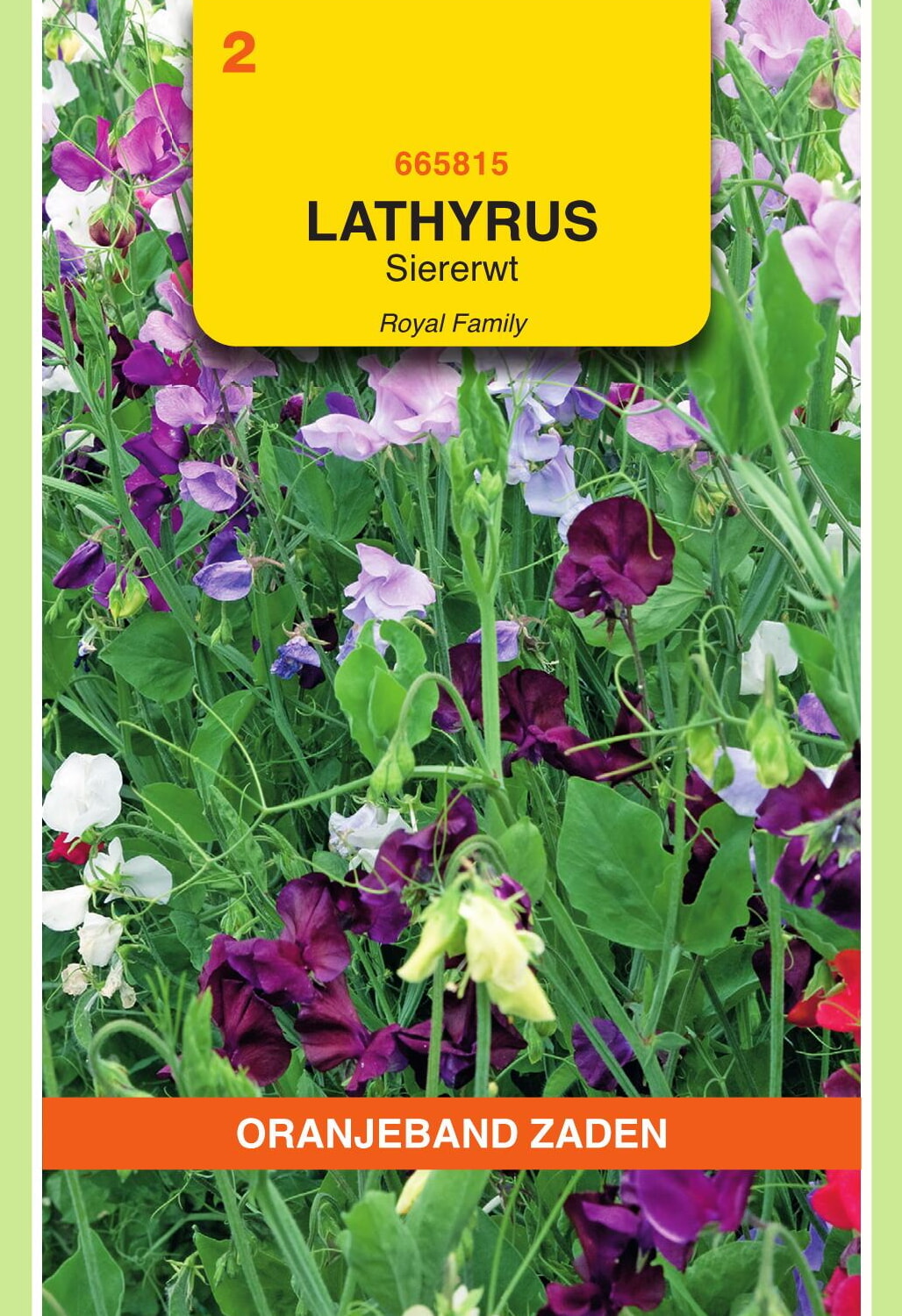 OBZ Lathyrus Reuk- Of Siererwt Zaden Royal Gemengd