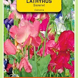 OBZ Lathyrus Reuk- Of Siererwt Zaden Colorama Gemengd