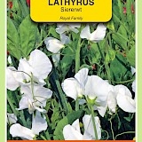 OBZ Lathyrus Reuk- Of Siererwt Zaden Royal Wit