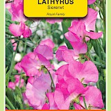 OBZ Lathyrus Reuk- Of Siererwt Zaden Royal Roze
