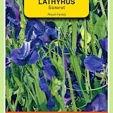 OBZ Lathyrus Reuk- Of Siererwt Zaden Royal Blauw