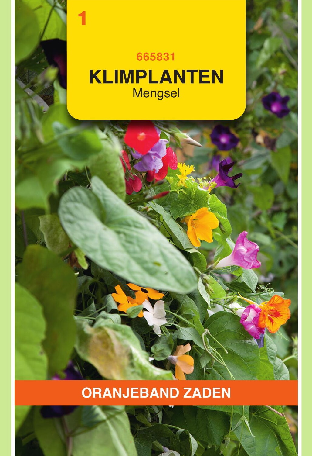 OBZ Klimplanten Zaden Mengsel
