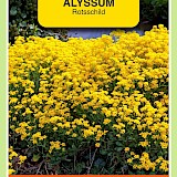 OBZ Alyssum Zaden Rotsschild