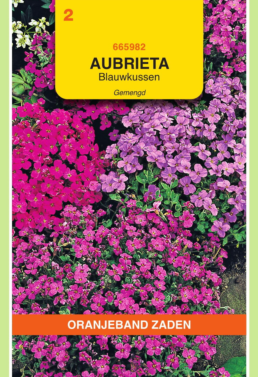OBZ Blauwkussen Zaden Gemengd