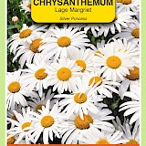 OBZ Lage Margriet Zaden Silver Princess