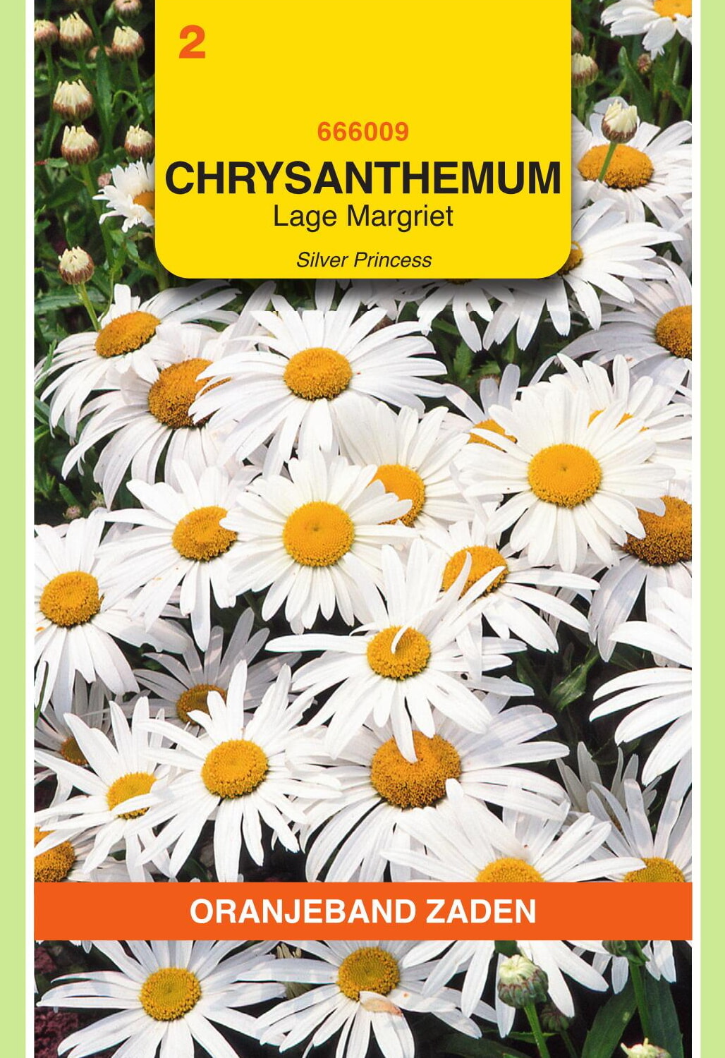 OBZ Lage Margriet Zaden Silver Princess