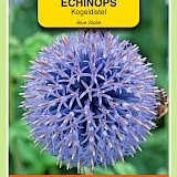 OBZ Kogeldistel Zaden Blue Globe