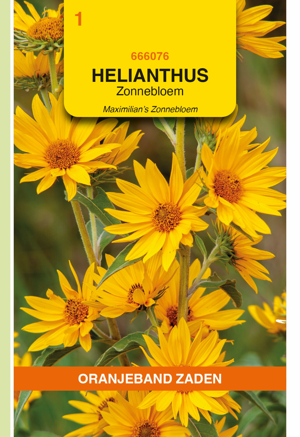 OBZ Zonnebloem Zaden Maximilian