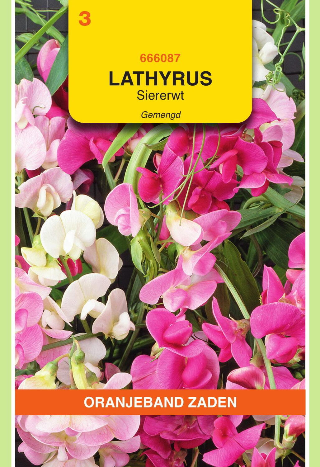 OBZ Lathyrus Reuk- Of Siererwt Zaden Gemengd Overblijvend
