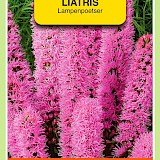 OBZ Lampenpoetser Zaden Roze
