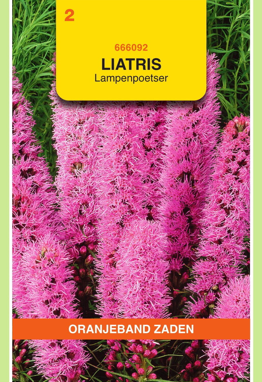 OBZ Lampenpoetser Zaden Roze