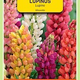 OBZ Lupine Zaden Minarette Gemengd