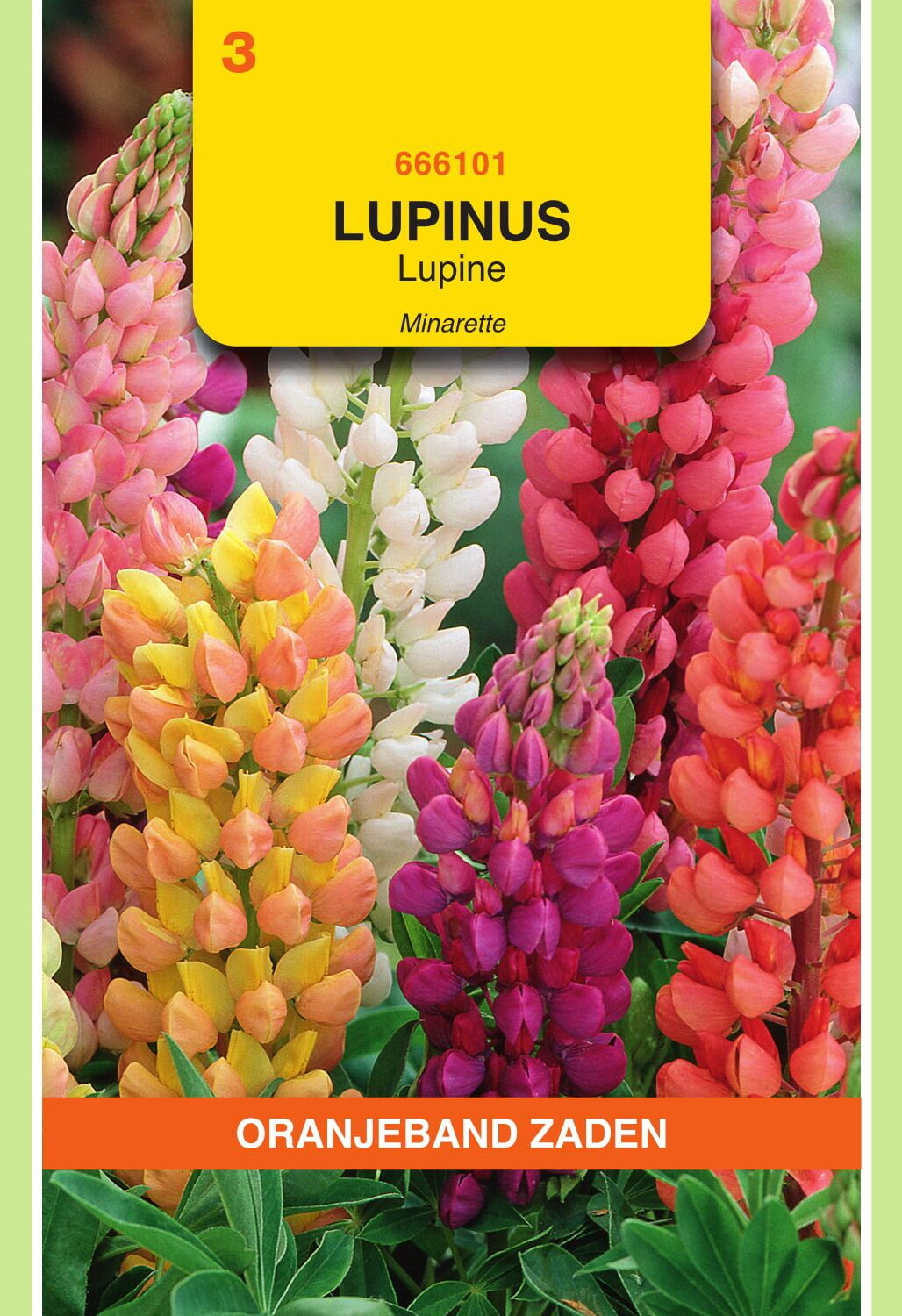 OBZ Lupine Zaden Minarette Gemengd