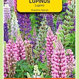 OBZ Lupine Zaden Russell's Gemengd