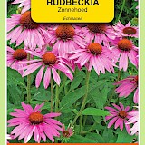 OBZ Zonnehoed Zaden Echinacea