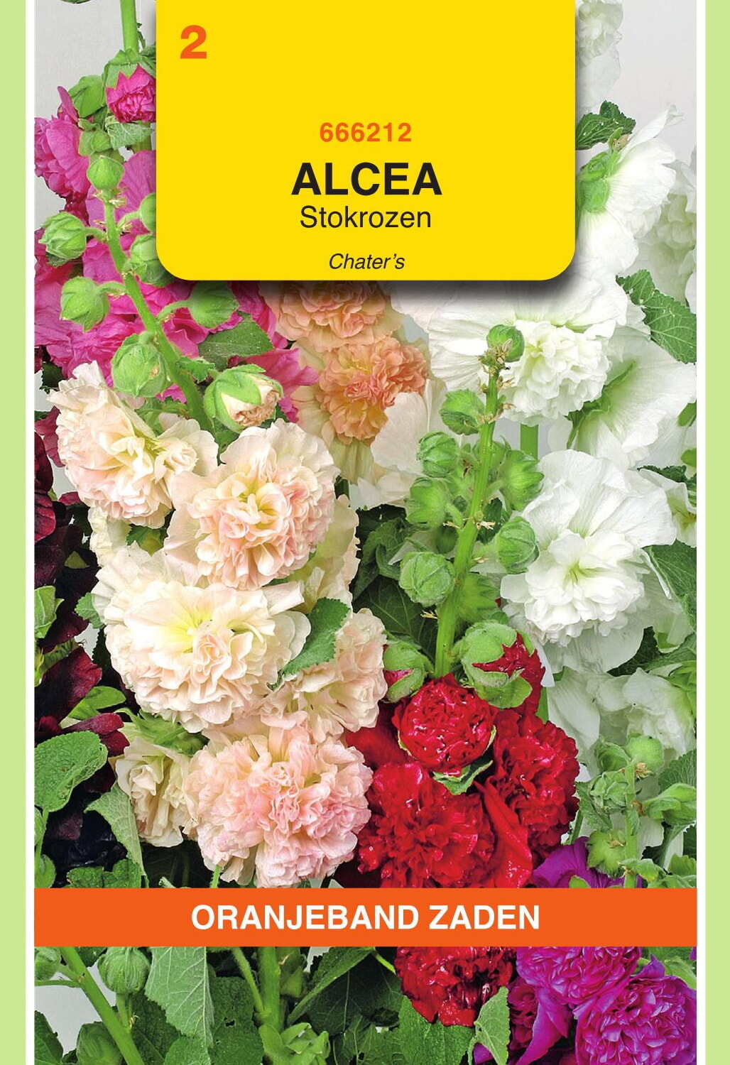 OBZ Stokroos Zaden Chater's Gemengd