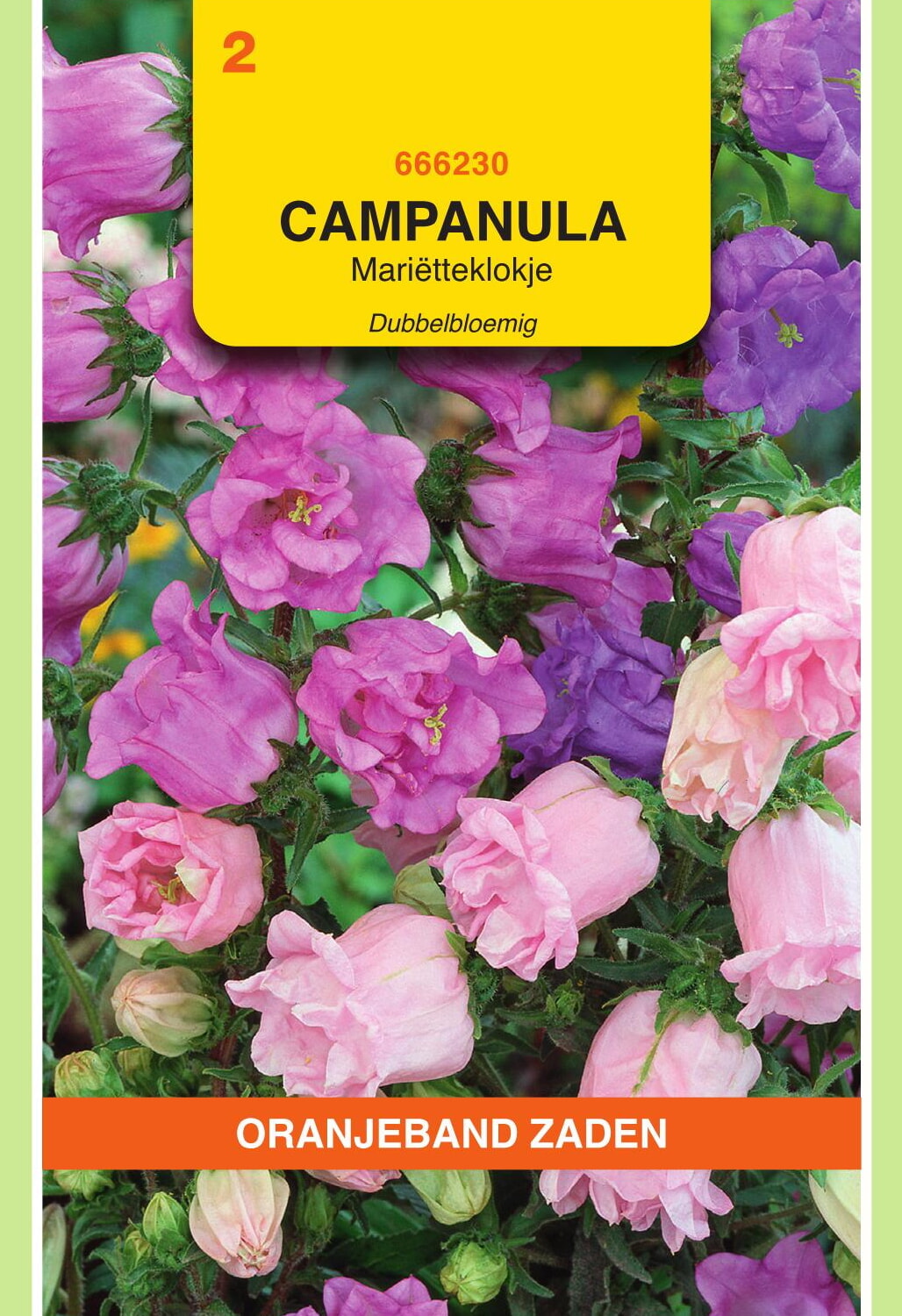 OBZ Mariëtteklokje Zaden Dubbelbloemig Gemengd