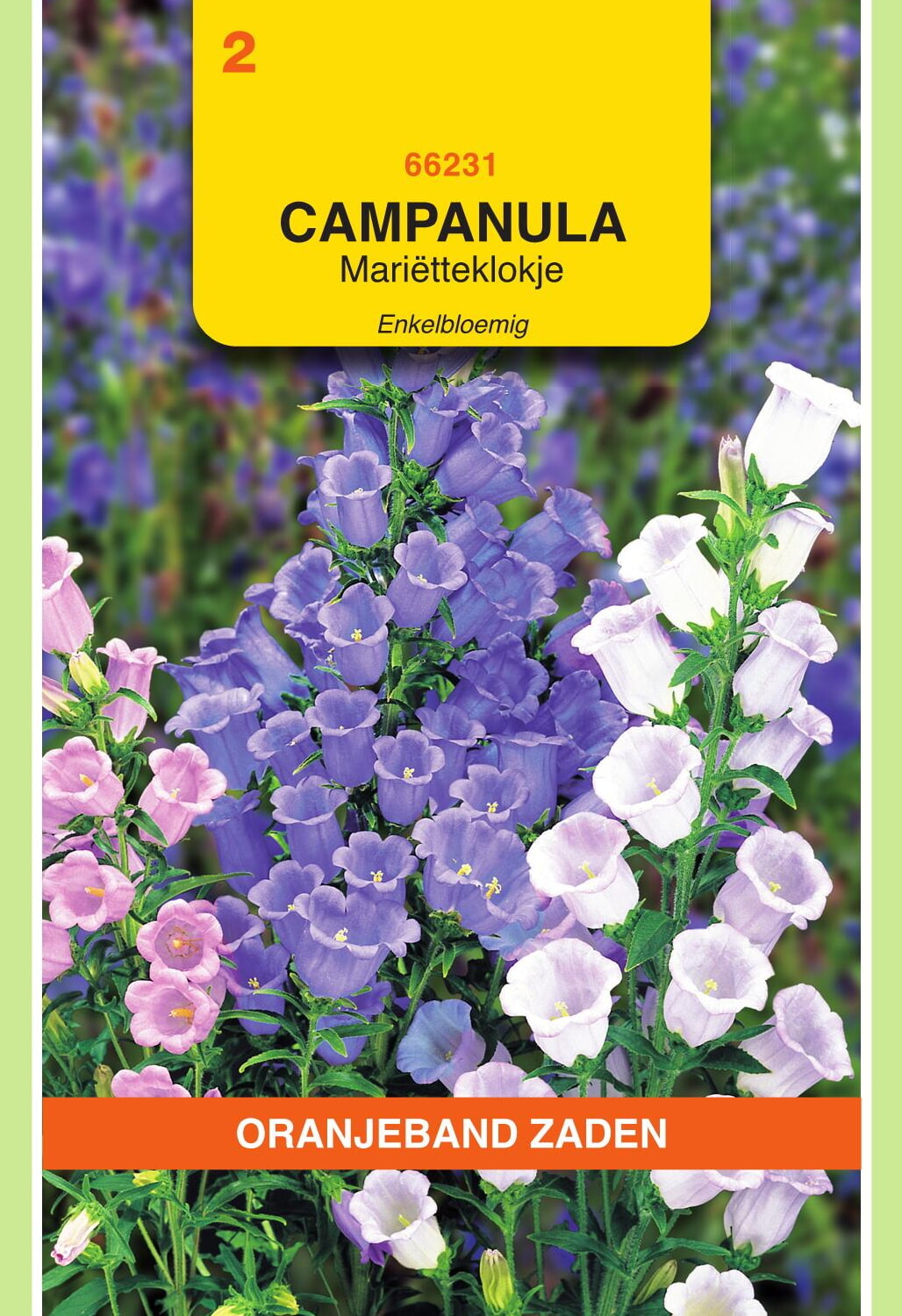 OBZ Mariëtteklokje Zaden Enkelbloemig Gemengd