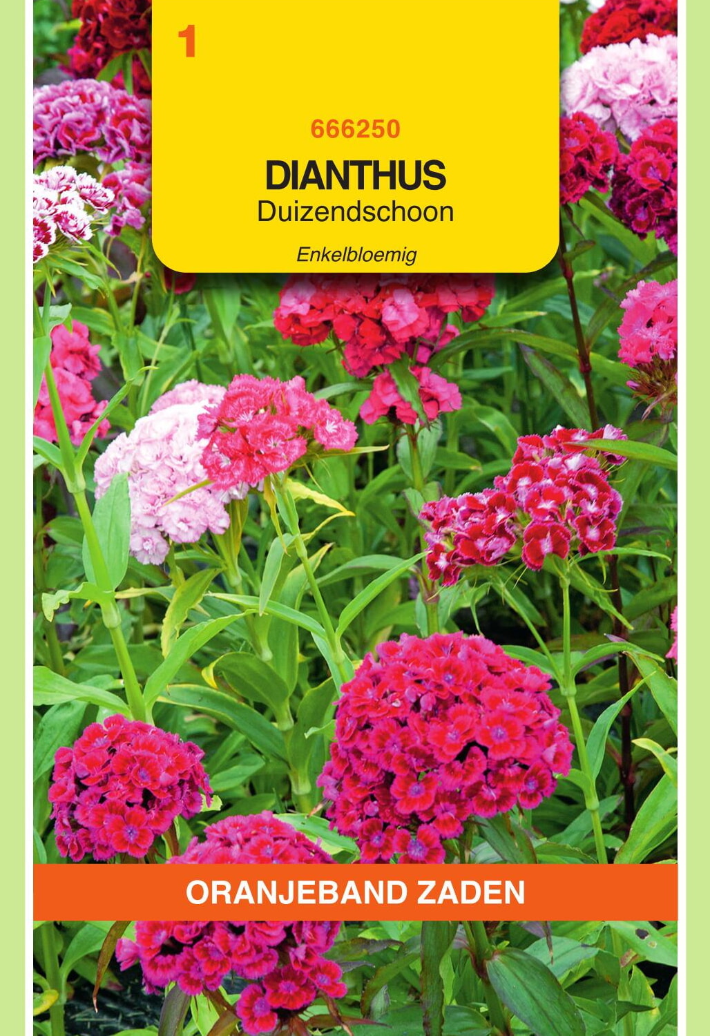 OBZ Duizendschoon Zaden Enkelbloemig Gemengd