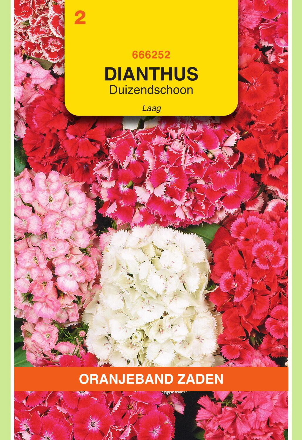 OBZ Duizendschoon Zaden Gemengd Laag