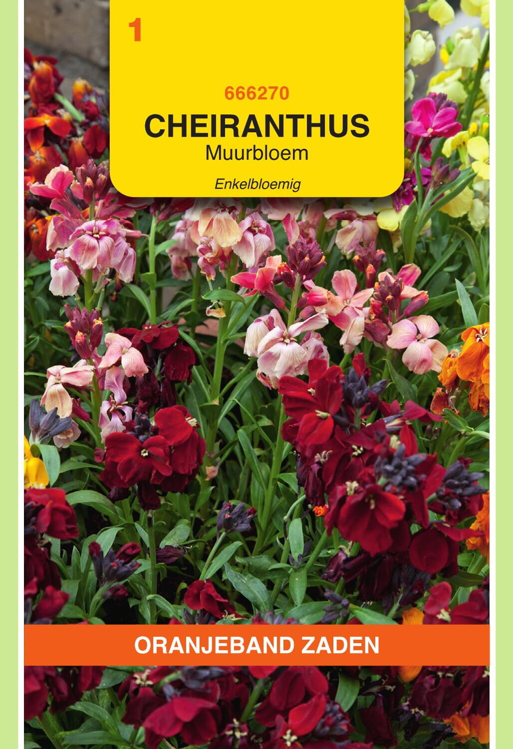 OBZ Muurbloem Zaden Enkelbloemig Gemengd