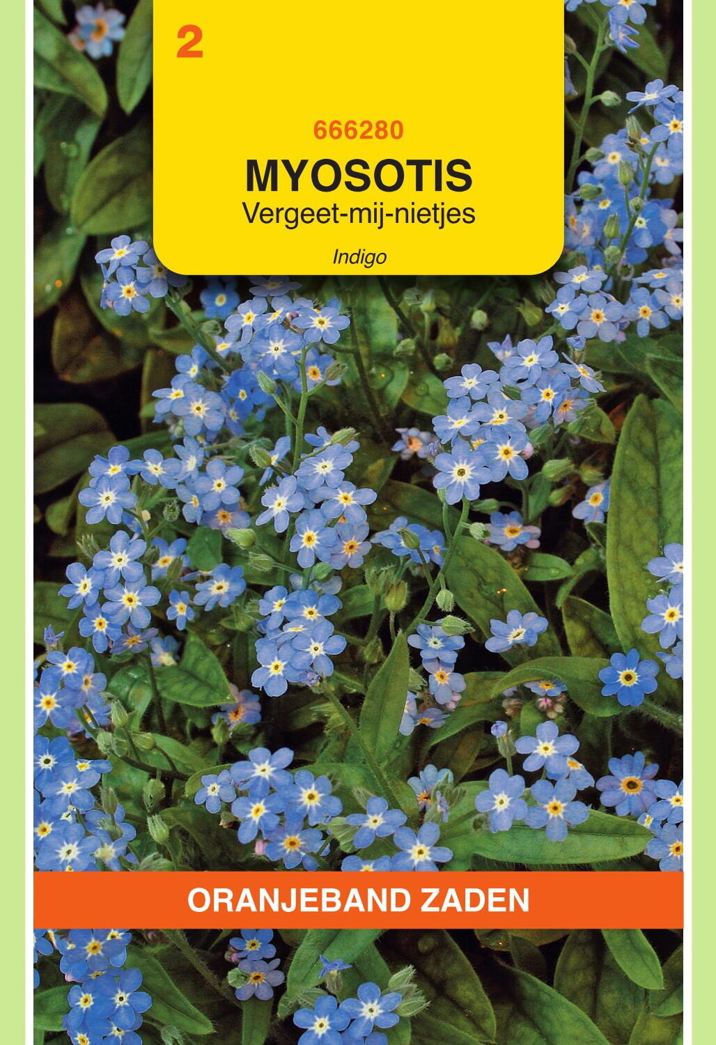 OBZ Vergeet-Mij-Niet Zaden Indigo Blauw