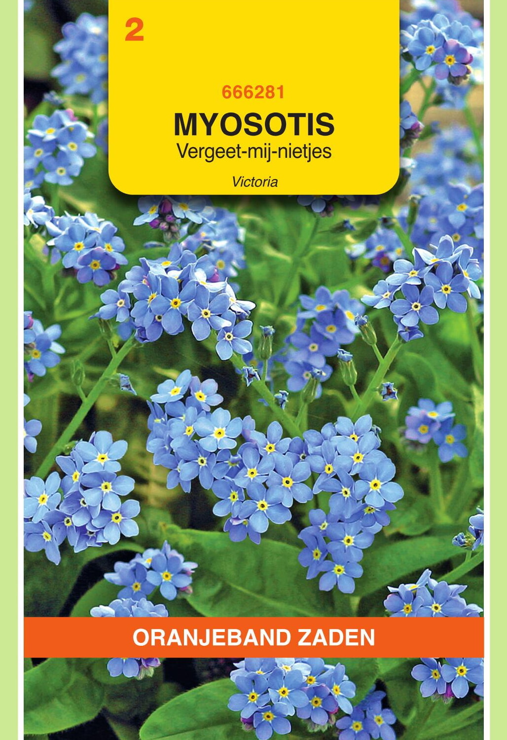 OBZ Vergeet-Mij-Niet Zaden Victoria Blauw